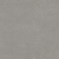 Керамогранит Ceradim х9999305457 Stone Notable Ash Темно-серый Матовый 80х80