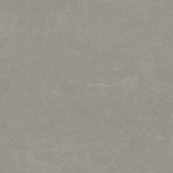 Керамогранит Ceradim х9999305457 Stone Notable Ash Темно-серый Матовый 80х80
