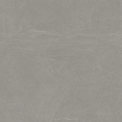 Керамогранит Ceradim х9999305457 Stone Notable Ash Темно-серый Матовый 80х80