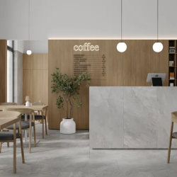 Керамогранит Laparet LP6060G0181R Porter Silver Pro светло-серый матовый R10 STR 59,5х59,5