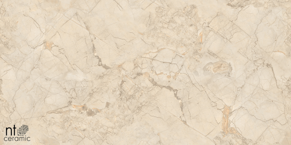 Керамогранит NT Ceramic NTT99515M Ivory Endless 60x120