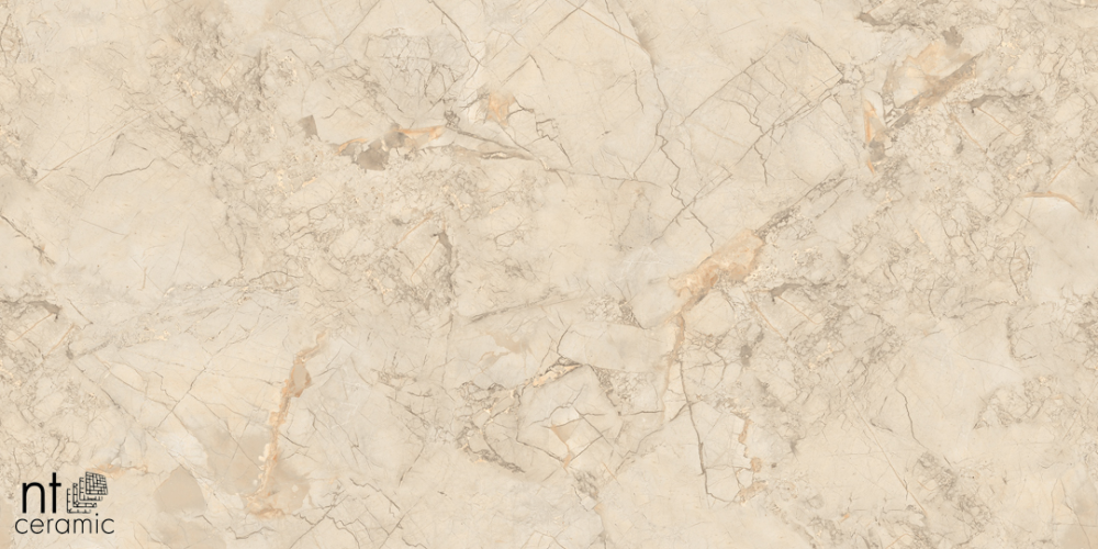 Керамогранит NT Ceramic NTT99515M Ivory Endless 60x120