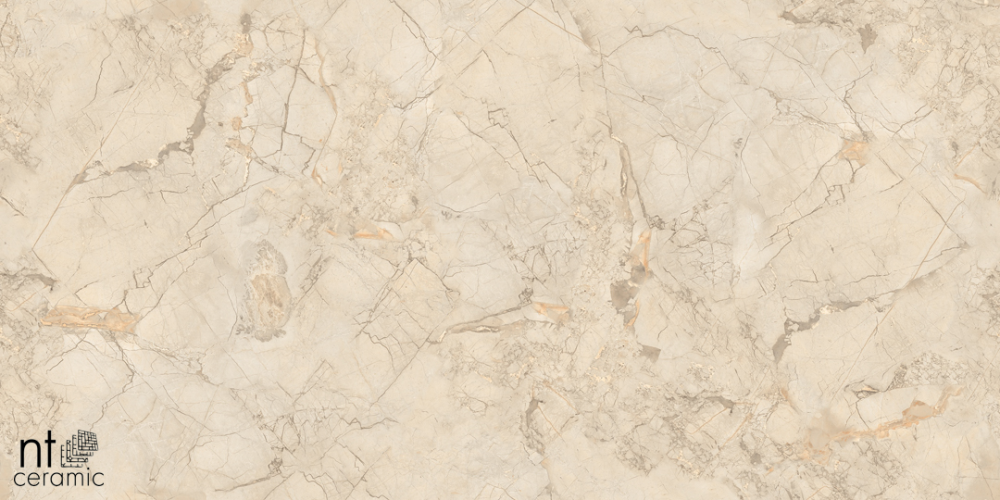 Керамогранит NT Ceramic NTT99515M Ivory Endless 60x120