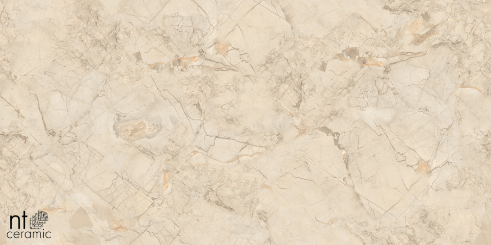 Керамогранит NT Ceramic NTT99515M Ivory Endless 60x120