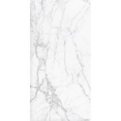 Керамогранит Duna RP-238589 Malata Cararra Satin 60x120