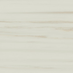 Керамогранит Atlas Concorde Russia 610010002185 Empire Lasa 60x120