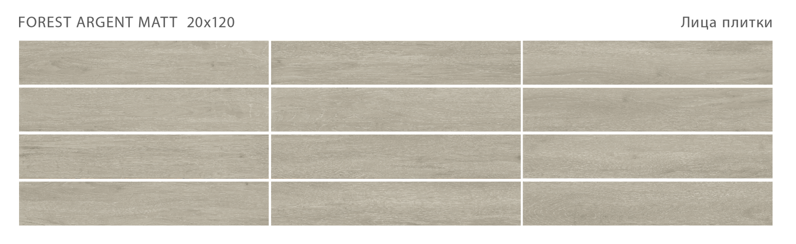 Керамогранит StaroWood Forest Argent Matt 20x120