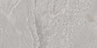 Керамогранит Fanal Planet Grey Metal Shine 60x120