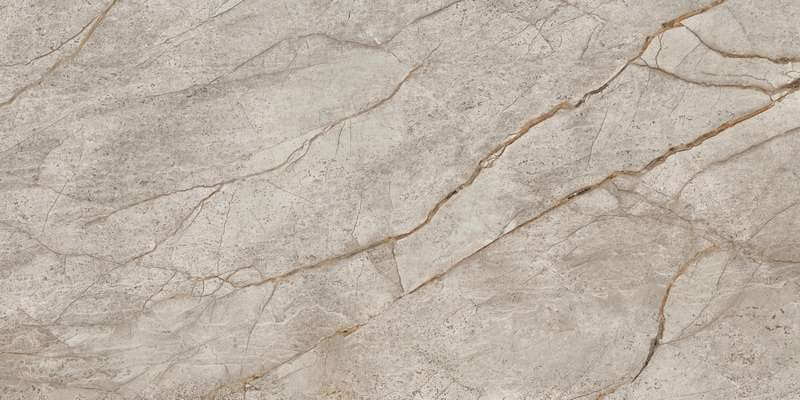 Керамогранит Atlas Concorde Russia 610010002187 Empire Silver Root 60x120