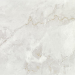 Керамогранит Neodom N20538 Marble Ornato Wave Carving 60x120