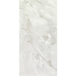 Керамогранит Neodom N20538 Marble Ornato Wave Carving 60x120
