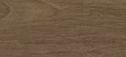 Керамогранит Ragno Marazzi R4MG Woodessence Walnut R9 10x70
