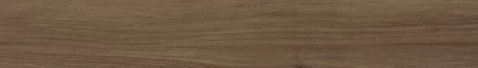 Керамогранит Ragno Marazzi R4MG Woodessence Walnut R9 10x70