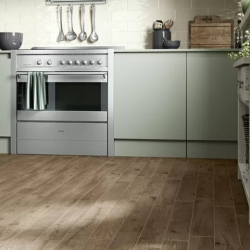 Керамогранит Ragno Marazzi R4MG Woodessence Walnut R9 10x70