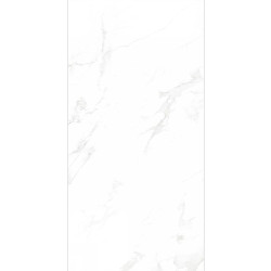 Керамогранит Neodom N12003 Sale Venus Bianco Polished 60x120