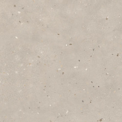 Керамогранит Buono Ceramica THS4802M Terrazzo Light Mocha Matt 60x120