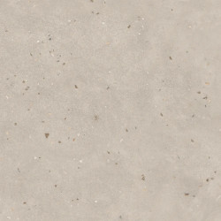 Керамогранит Buono Ceramica THS4802M Terrazzo Light Mocha Matt 60x120