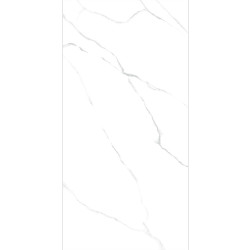 Керамогранит LCM 60120AMR00P Atlantic Marble 60x120