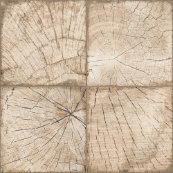 Керамогранит NewTrend GP6RIT21 Ringwood Tik Brown 41x41