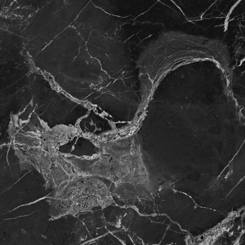 Керамогранит Primavera Dalim Black NR105 60x60