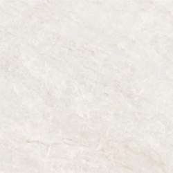 Керамогранит NT Ceramic NTT9513AC Taj Mahal Light Antislip Carving 60x120