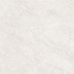 Керамогранит NT Ceramic NTT9513AC Taj Mahal Light Antislip Carving 60x120
