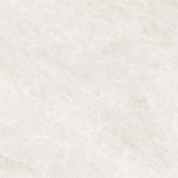 Керамогранит NT Ceramic NTT9513AC Taj Mahal Light Antislip Carving 60x120