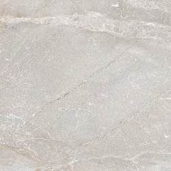 Керамогранит Art Ceramic Stonico Oyster Grey Glossy 60x120