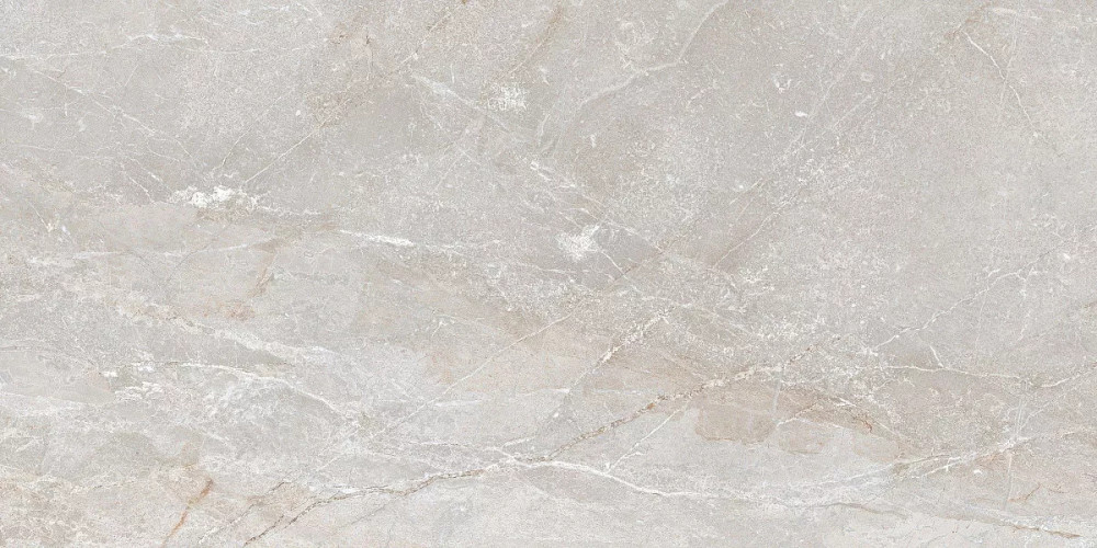 Керамогранит Art Ceramic Stonico Oyster Grey Glossy 60x120