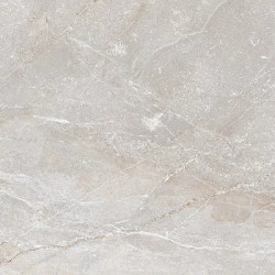 Керамогранит Art Ceramic Stonico Oyster Grey Glossy 60x120