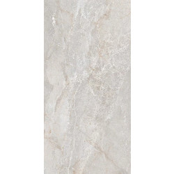 Керамогранит Art Ceramic Stonico Oyster Grey Glossy 60x120
