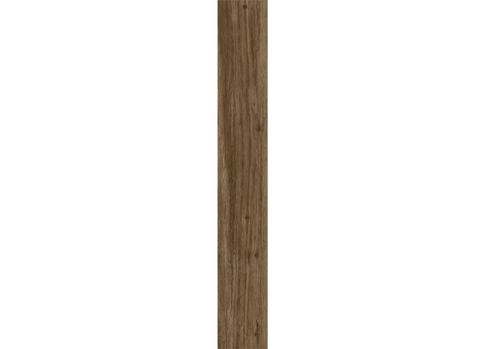 Керамогранит Ragno Marazzi 00R06R13 Woodglam Noce 10x70