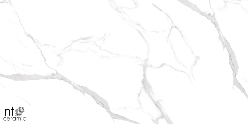 Керамогранит NT Ceramic NTT99512M Statuario Ultra White 60x120