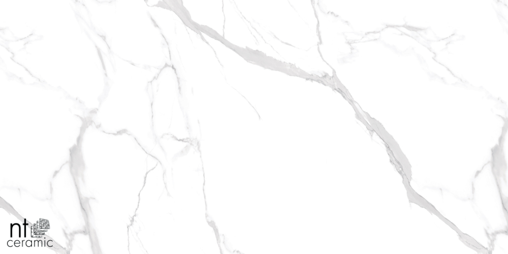 Керамогранит NT Ceramic NTT99512M Statuario Ultra White 60x120