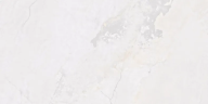 Керамогранит Fanal Planet White N Metal Shine 60x120