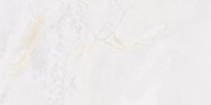 Керамогранит Fanal Planet White N Metal Shine 60x120