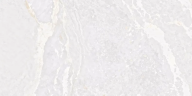 Керамогранит Fanal Planet White N Metal Shine 60x120