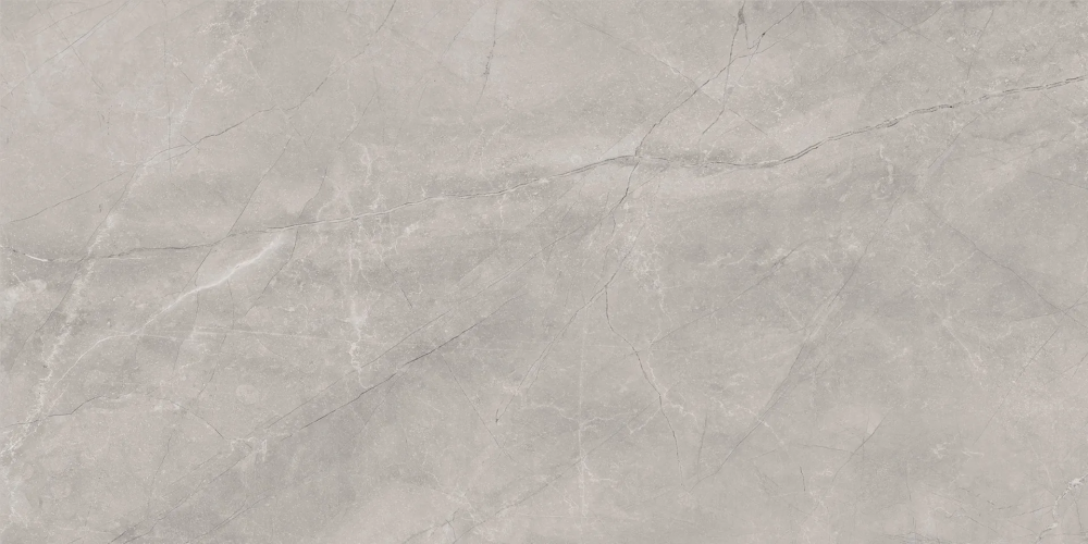 Керамогранит Baldocer Bayona Silver Natural 60x120
