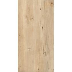 Керамогранит Buono Ceramica FVL4511M Sweet Home Matt 60x120