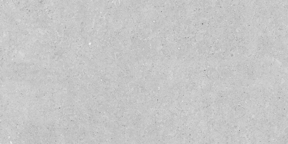 Керамогранит Neodom N20758 Stone Denver Grey Matt Str 60x120