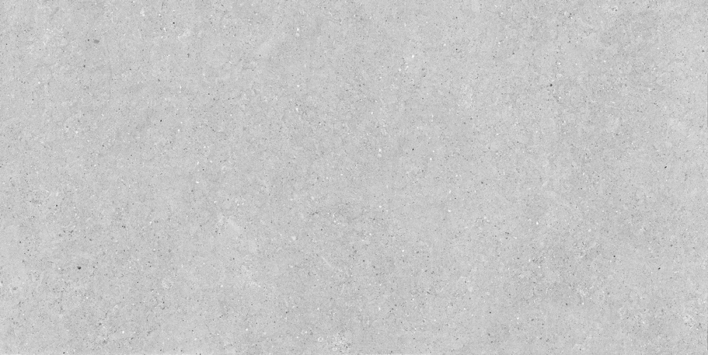 Керамогранит Neodom N20758 Stone Denver Grey Matt Str 60x120