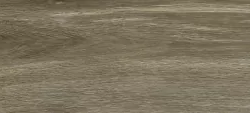 Керамогранит Ragno Marazzi 00R06N13 Woodglam Grigio 10x70