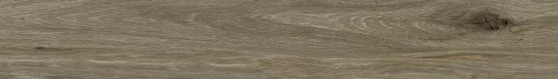 Керамогранит Ragno Marazzi 00R06N13 Woodglam Grigio 10x70