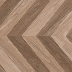 Керамогранит Buono Ceramica F4510M Forest Nature Roble Matt 60x120