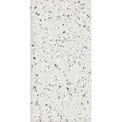 Керамогранит Eurotile Terrazzo Plus Silver Mat 7930138703920 60x120