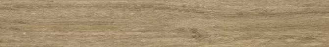 Керамогранит Ragno Marazzi 00R06P13 Woodglam Naturale 10x70