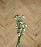 Керамогранит Ragno Marazzi 00R06P13 Woodglam Naturale 10x70