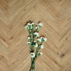 Керамогранит Ragno Marazzi 00R06P13 Woodglam Naturale 10x70