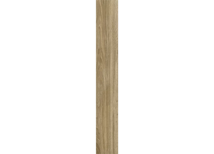 Керамогранит Ragno Marazzi 00R06P13 Woodglam Naturale 10x70