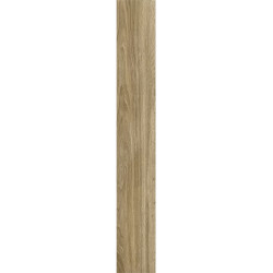 Керамогранит Ragno Marazzi 00R06P13 Woodglam Naturale 10x70